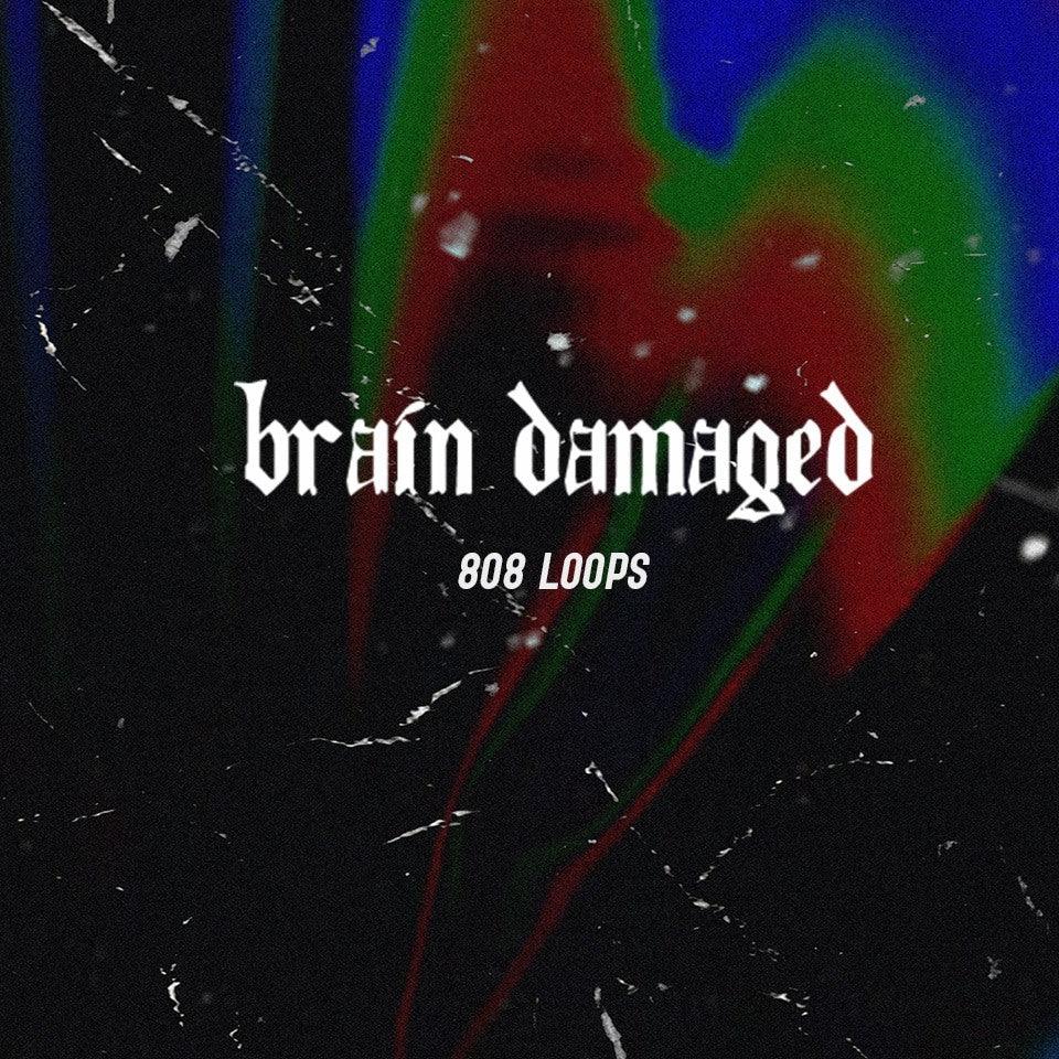 THP - Brain Damaged (808 Loops) - The Highest Producers